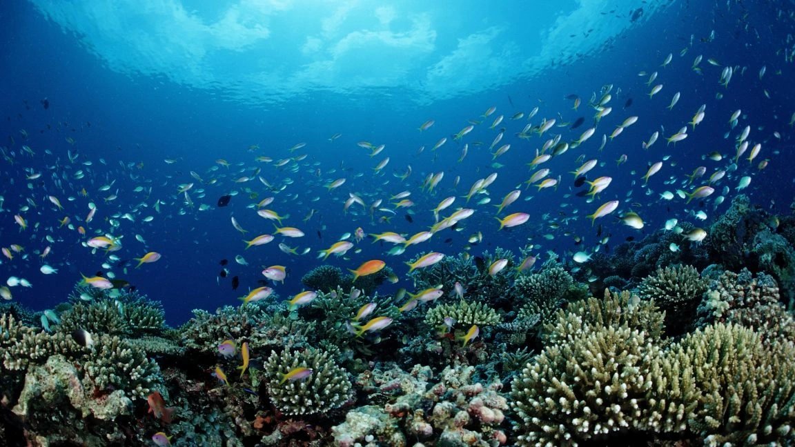 NOAA proposes opening protected marine monuments to commercial fishing