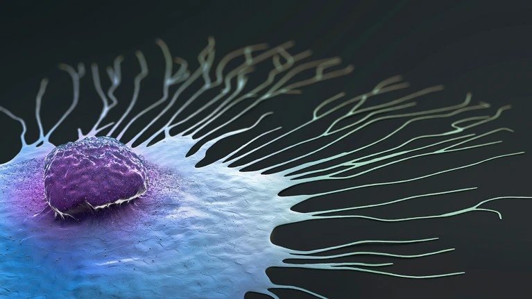 AI model predicts breast-cancer drug responses in clinical test