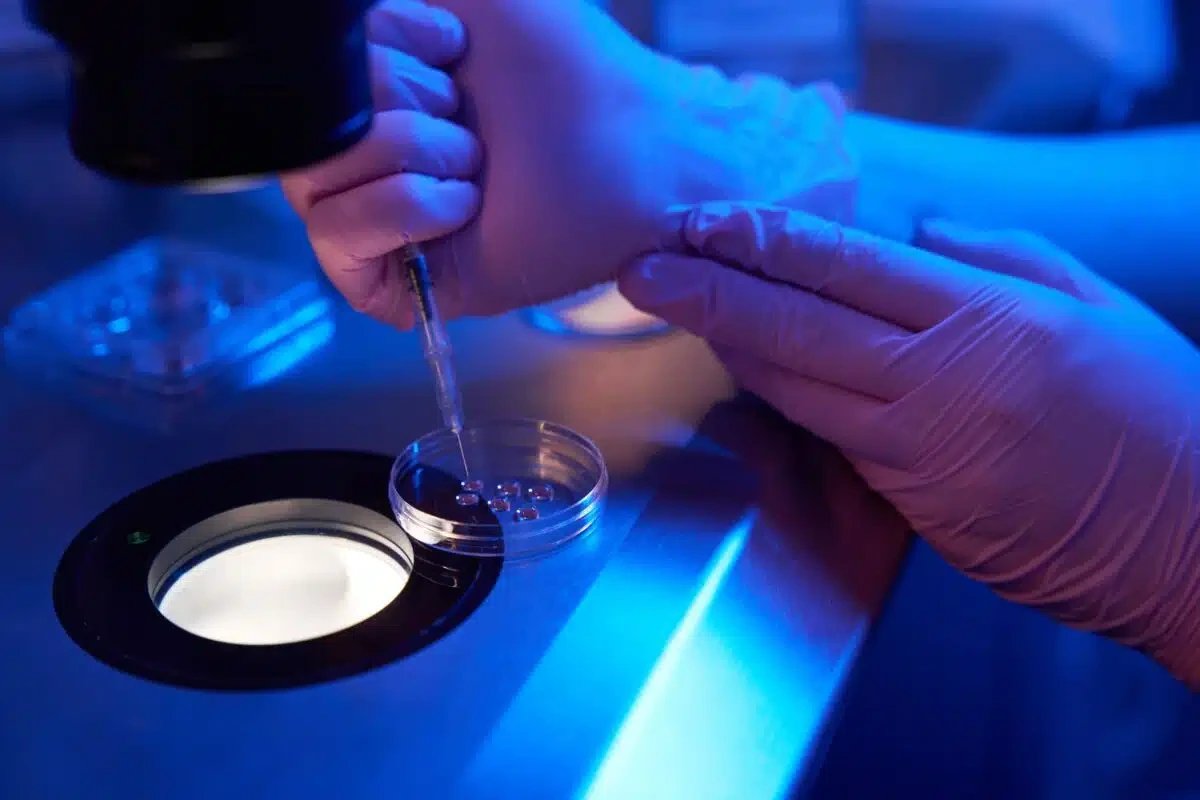 Base editing maps gene function in early human embryos
