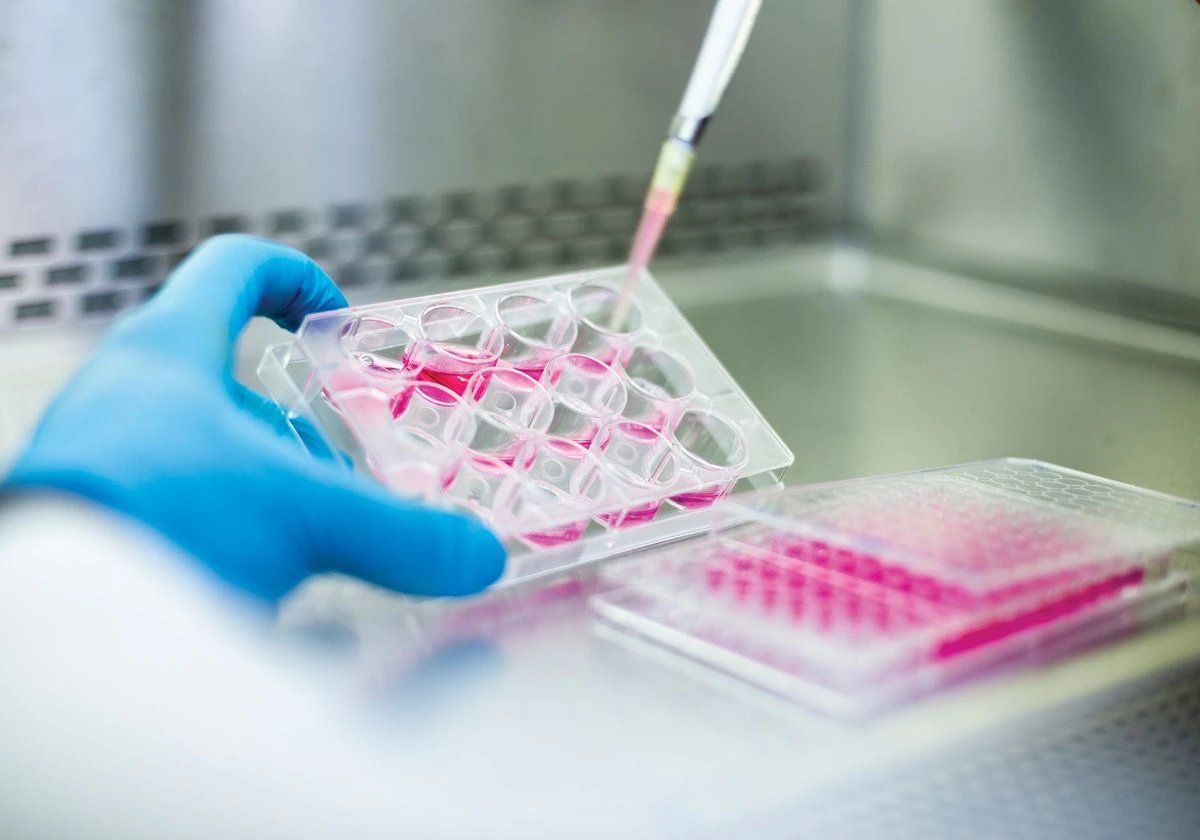 PTV-1 virtual cell model maps 1,000+ perturbations across 20 cell types