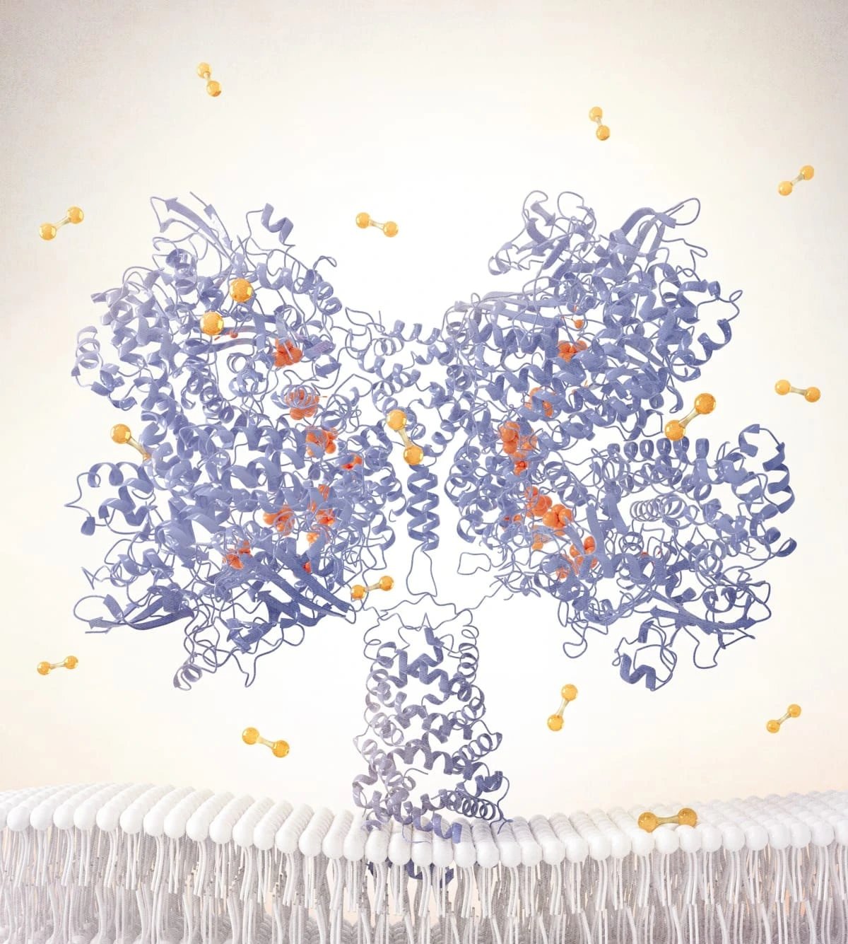 Monash scientists isolate Huc enzyme that turns air into electricity