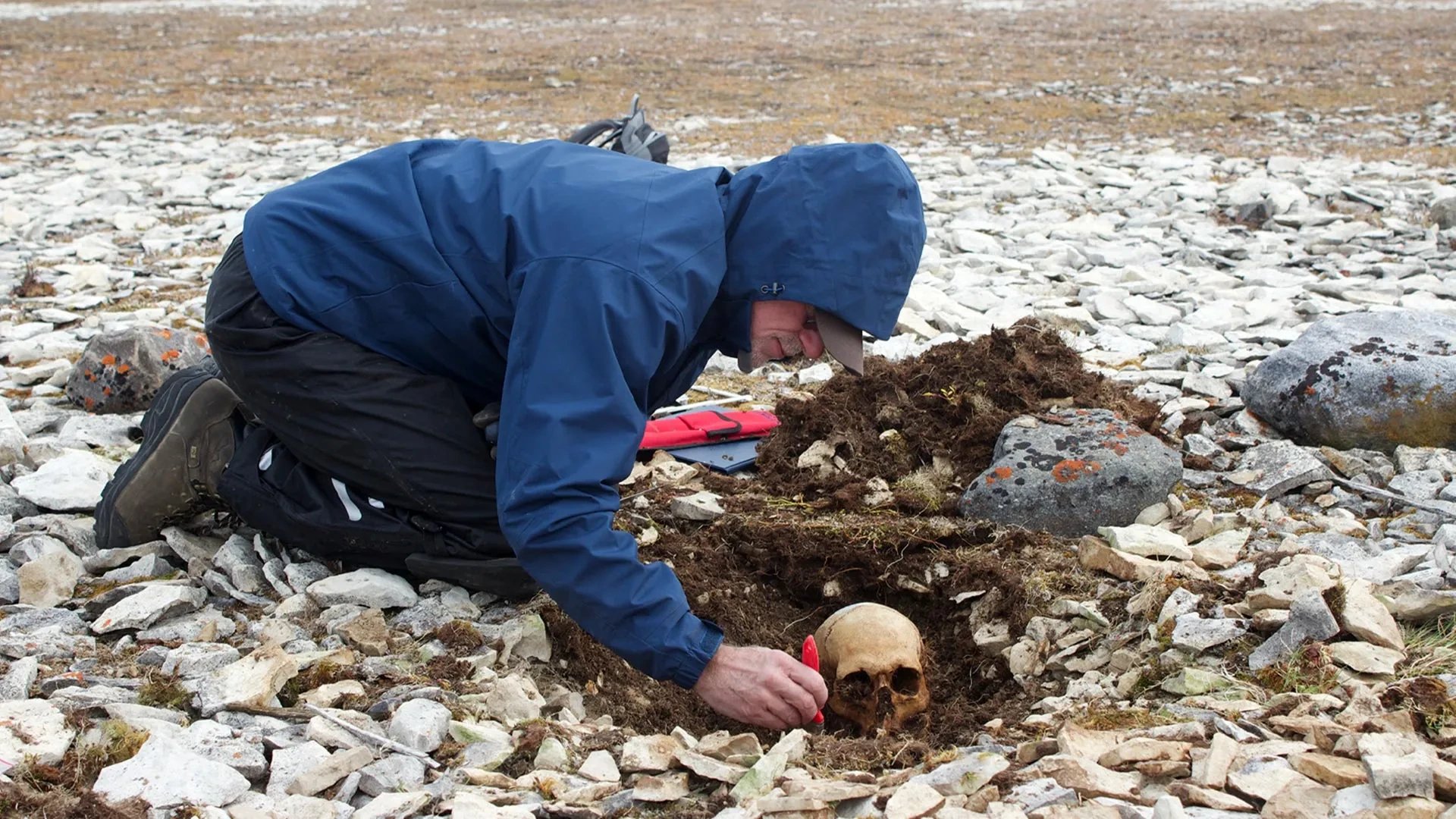 DNA identifies four more sailors from Franklin's 1845 Arctic expedition