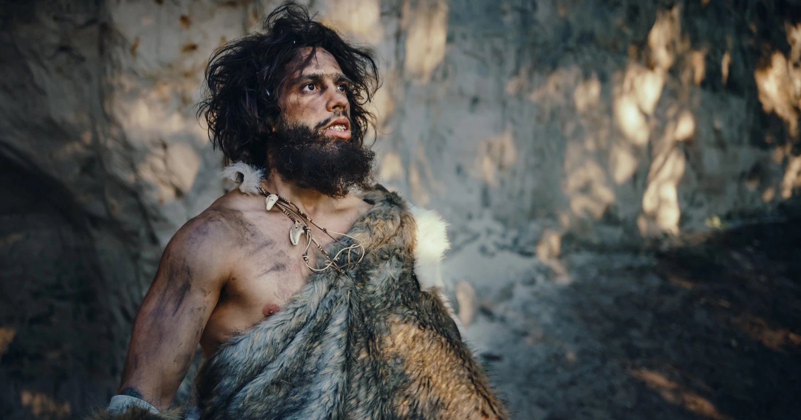 Neanderthal DNA deserts reveal rapid purging of harmful archaic variants