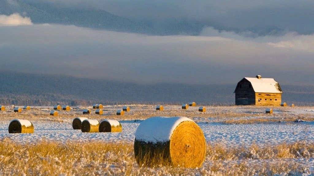 Study forecasts food production dip if Atlantic currents collapse