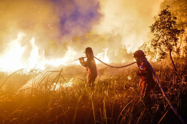 Super El Niño disrupts global weather, fisheries and shipping