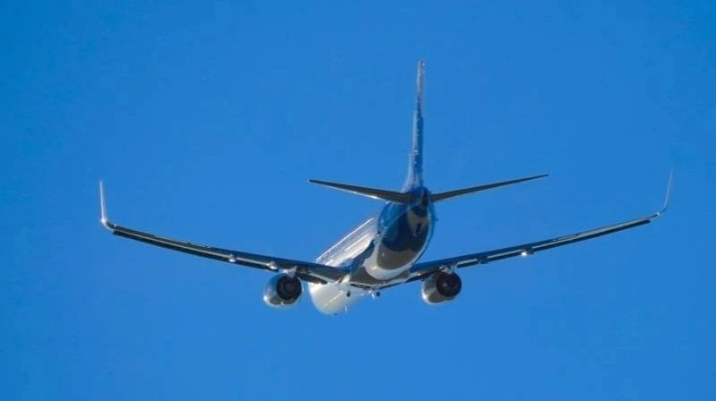 Sepehran әуе компаниясының Boeing 737 ұшағы Мешхедте шина жарылғаннан кейін апаттық қонды
