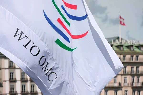 ВТО прогнозирует потерю 5–10% мирового ВВП к 2050 году при размывании правил