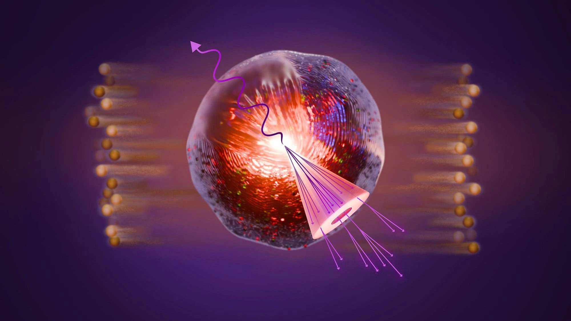 Gold nuclei collisions reveal unexpected dip in quark-gluon plasma fluctuations