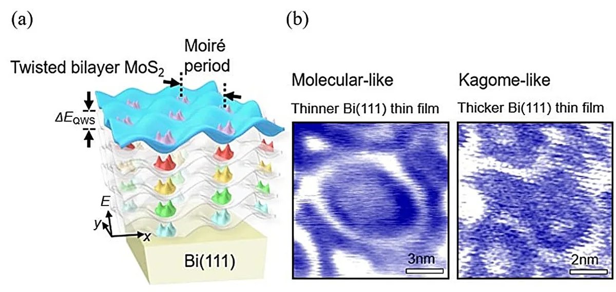 Bismuth-MoS₂ interface enables bidirectional quantum state control