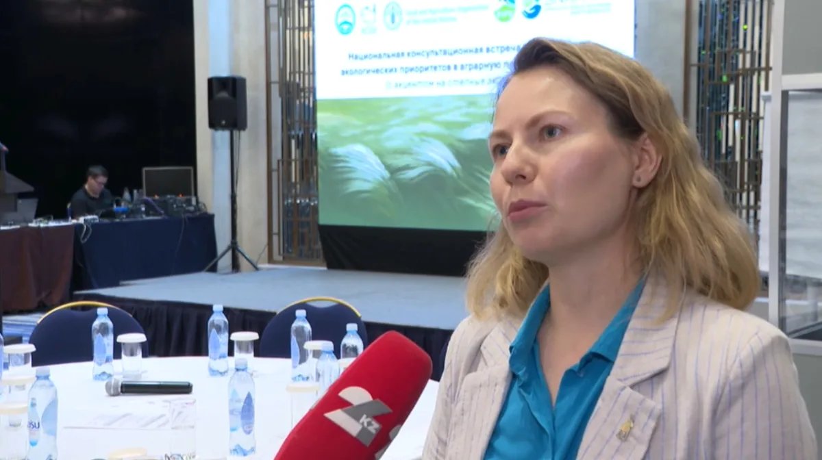 Қазақстан 26 млн га жайылымды құтқару үшін комиссия құруды ұсынды