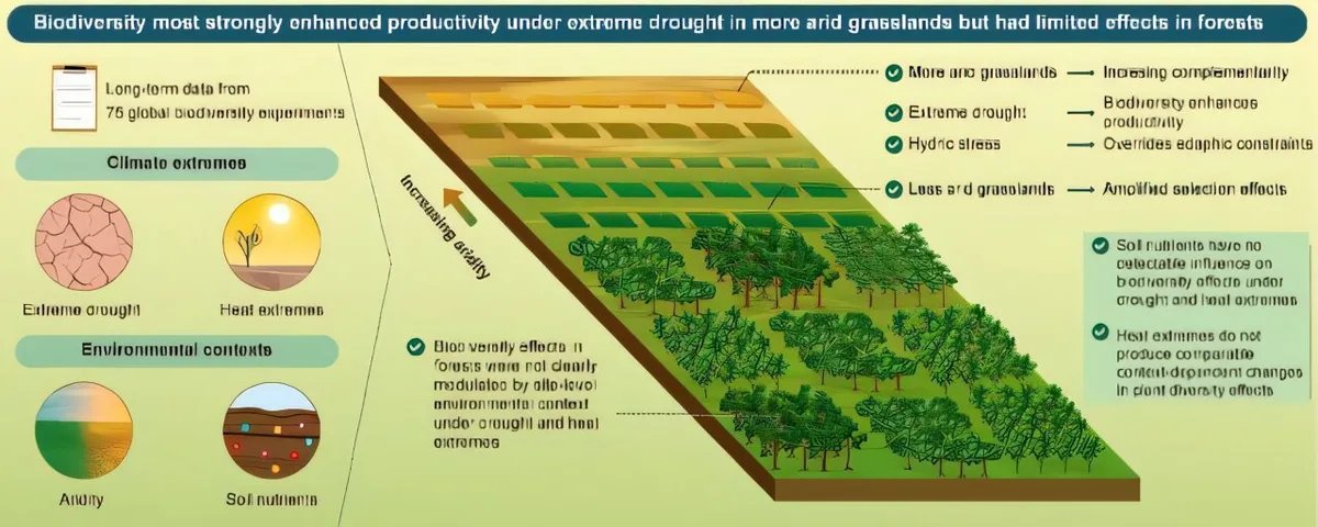 Biodiversity boosts grassland productivity most in extreme drought