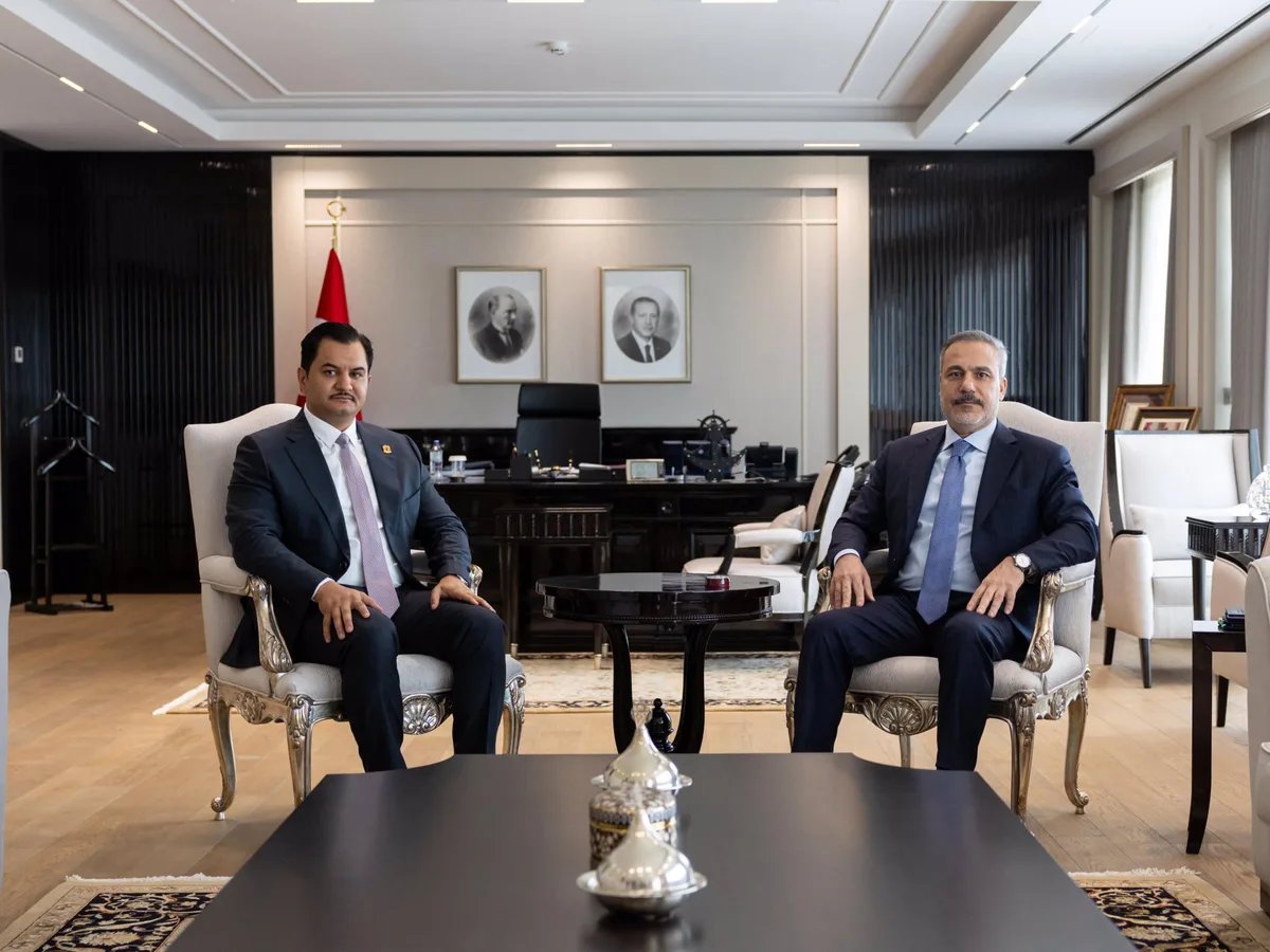 Turkiye-Libya military ties deepen; Egypt stays quiet