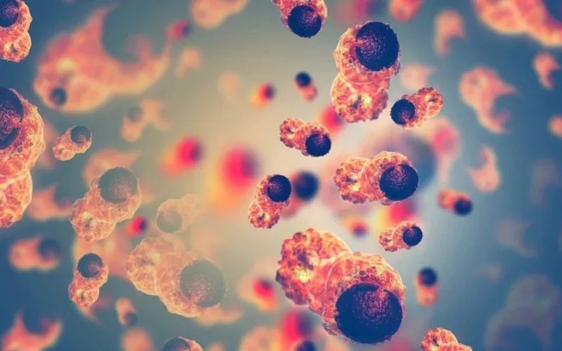 Chinese scientists discover new immune gene boosting donor matching