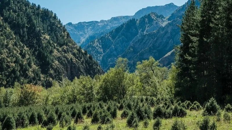 Japarov announces Kyrgyzstan's territory exceeds 200,000 sq km
