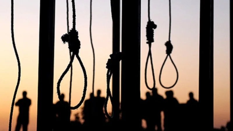 Trump calls Iranian officials 'savages' after two protesters executed