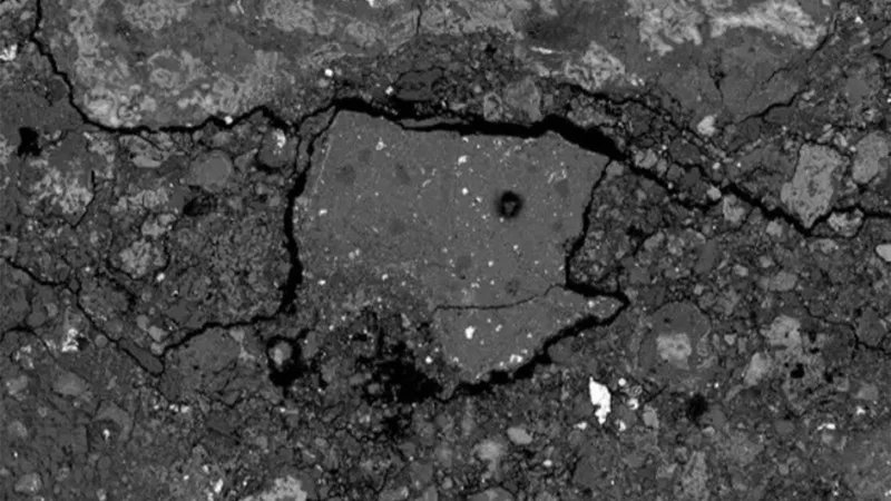 Meteorite that hit New Jersey home contains amino acids