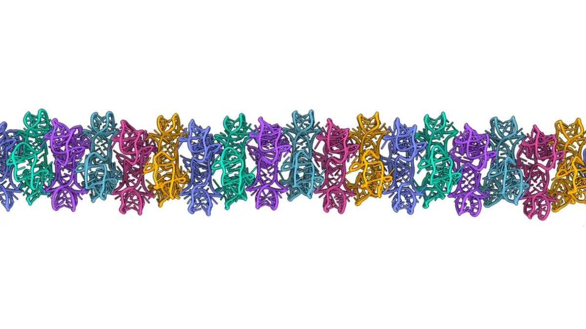 RNA forms large structures, challenging origin-of-life assumptions