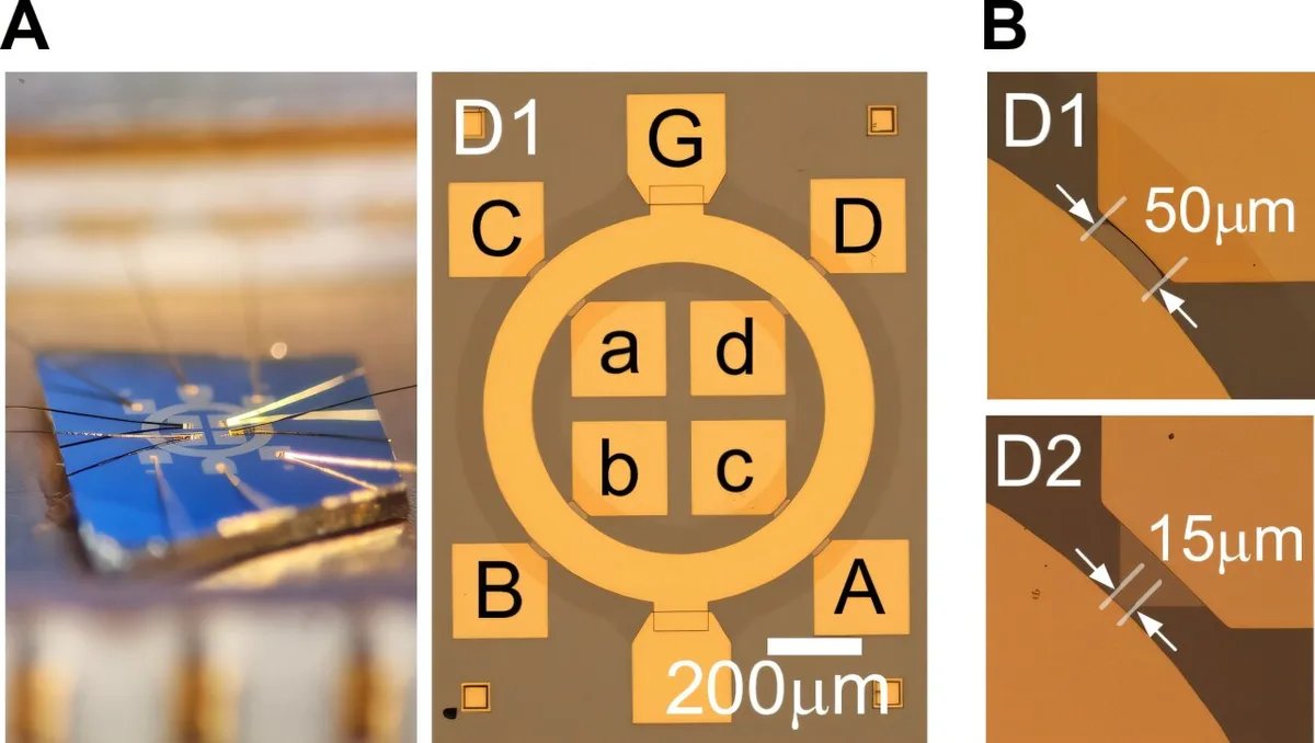 Würzburg team detects robust transport in topological insulator