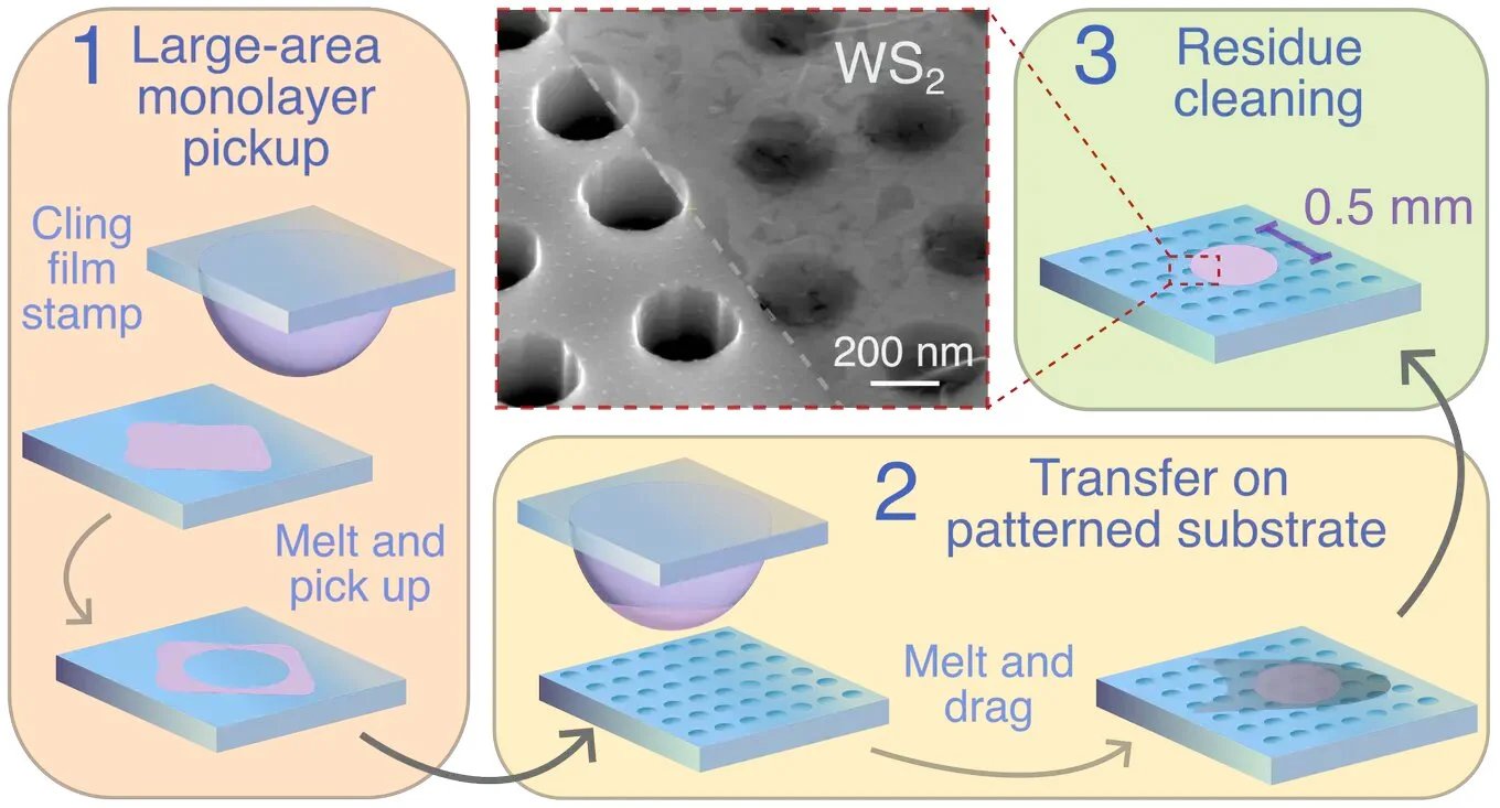 Amsterdam scientists use cling film to transfer large 2D material sheets
