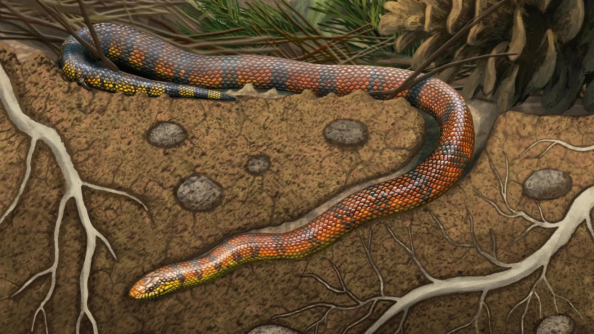 80-million-year-old snake brain reveals early snakes explored diverse habitats, study finds