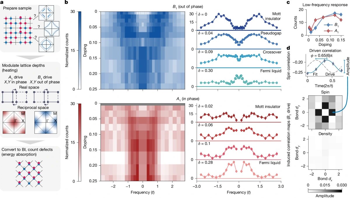 Cold-atom quantum simulator reveals pseudogap metal in Hubbard model