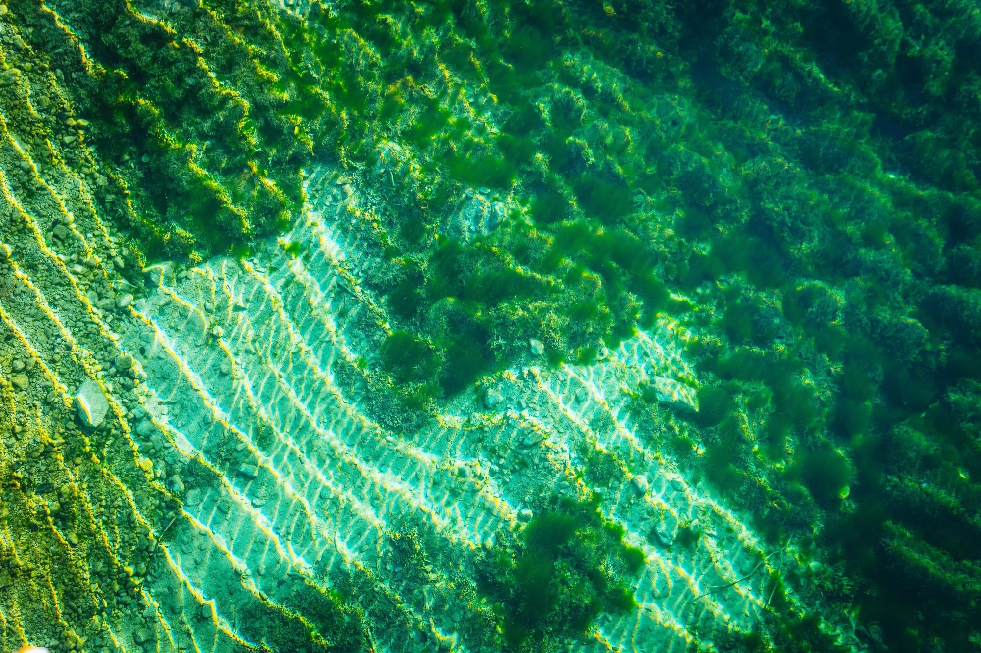 University of Düsseldorf Study Finds Two Independent Origins of Life