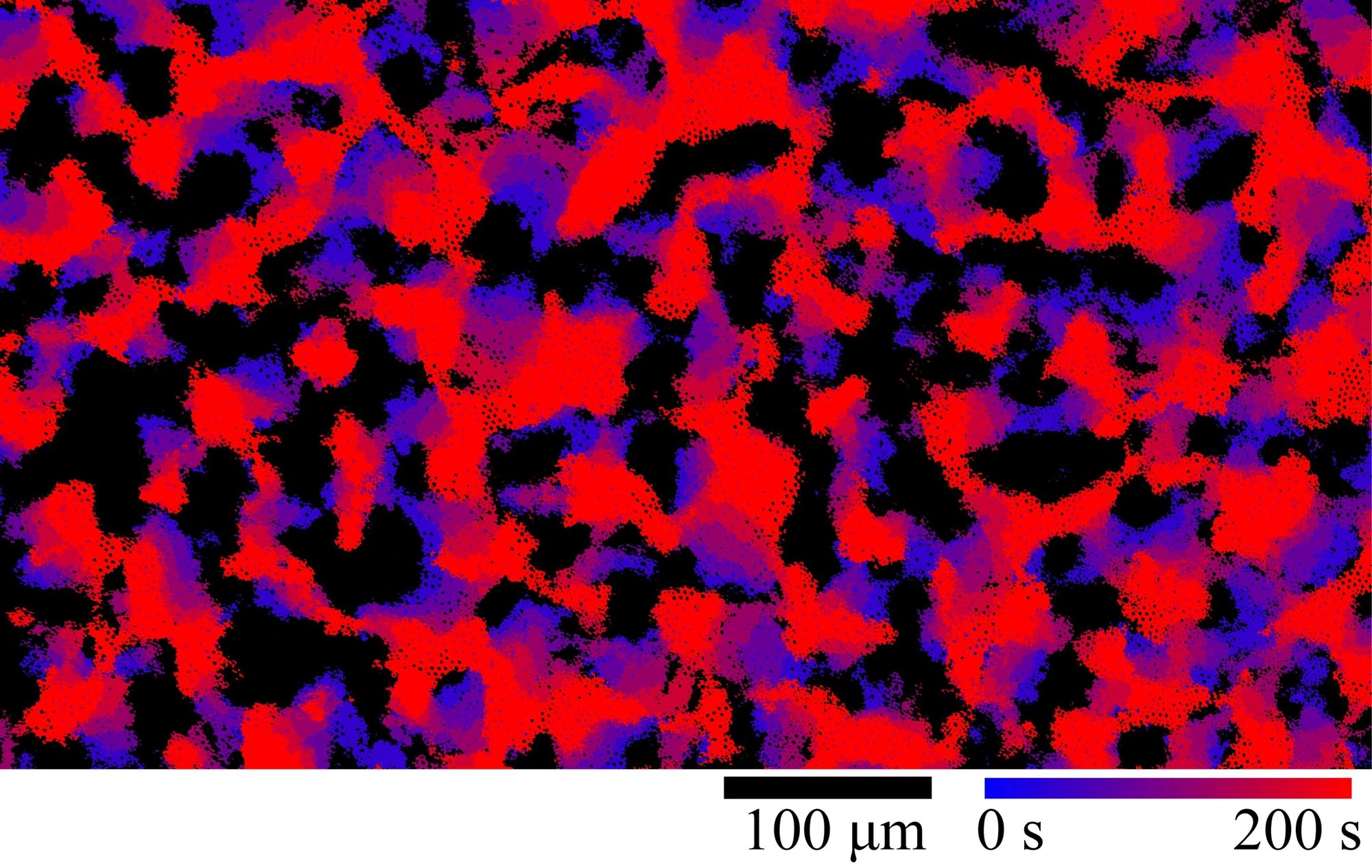 Tokyo University of Science researchers demonstrate nonreciprocal collective dynamics in over 10,000 particles