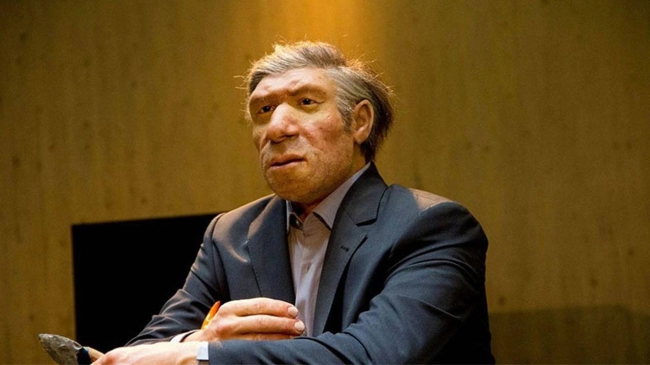 Max Planck-led study discovers Neanderthal gene variant that increases height and muscle mass