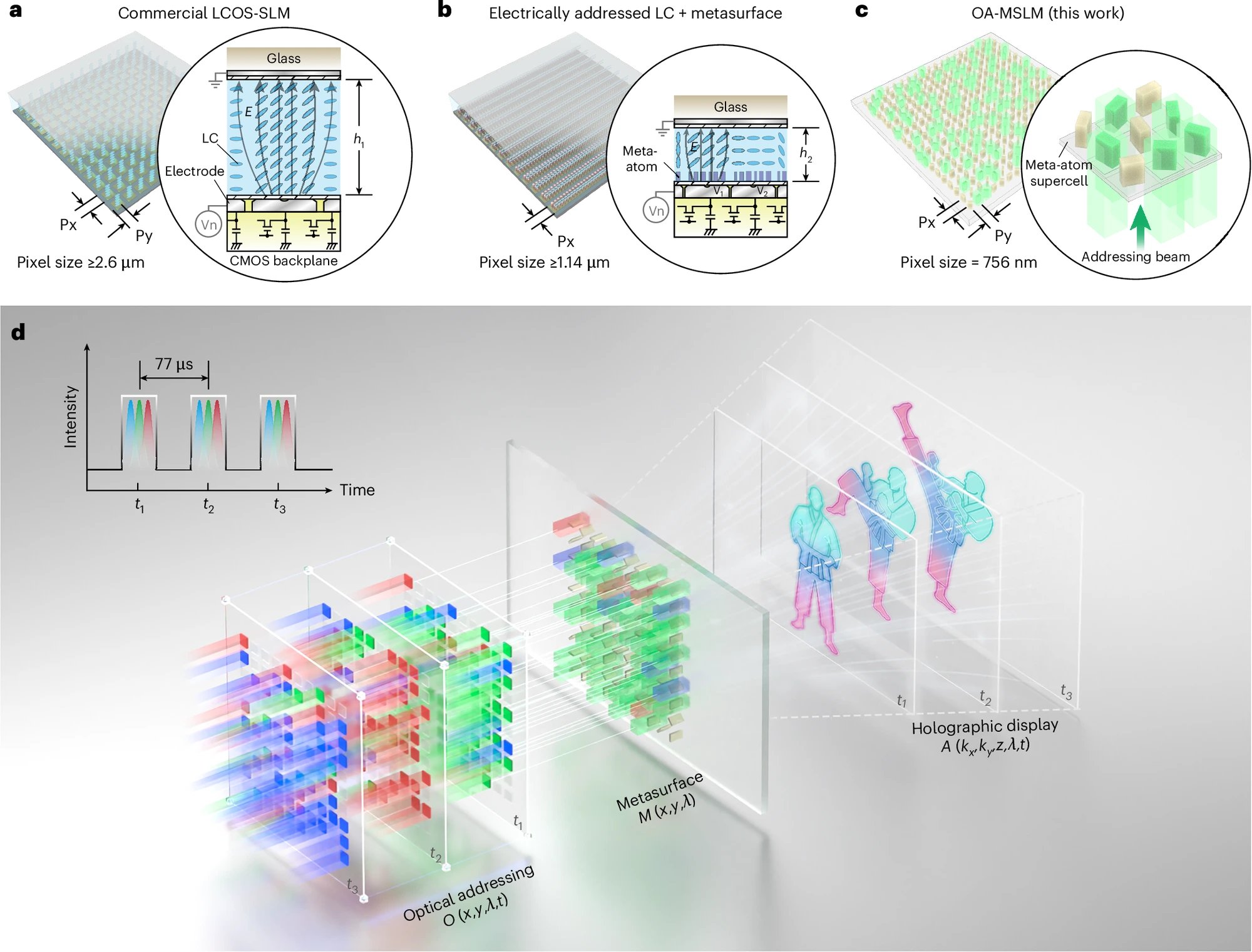 Nature study demonstrates spatial DOP modulation with 1,024 modes