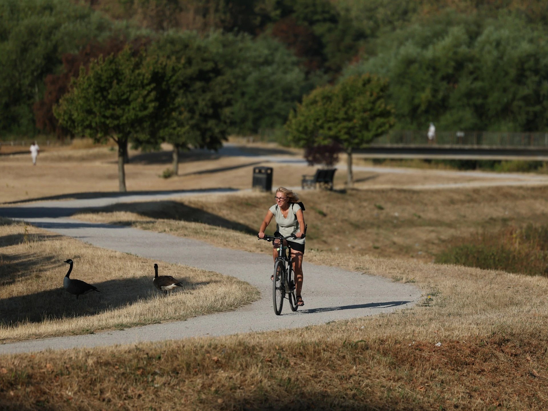 German weather service projects 135 million Europeans will face 35C heat on Thursday