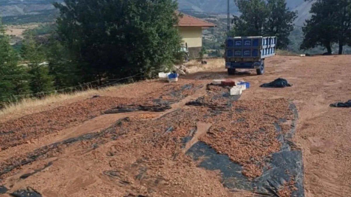 Malatya flash floods hit Hekimhan, flooding two homes and damaging apricots