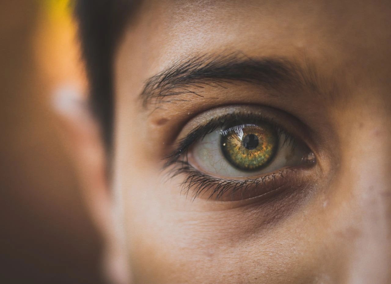 Scientists improve vision in rare hereditary eye disease with stem cell scaffold