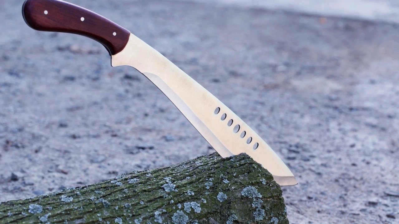 18-year-old arrested after machete attack at Swedish school kills one