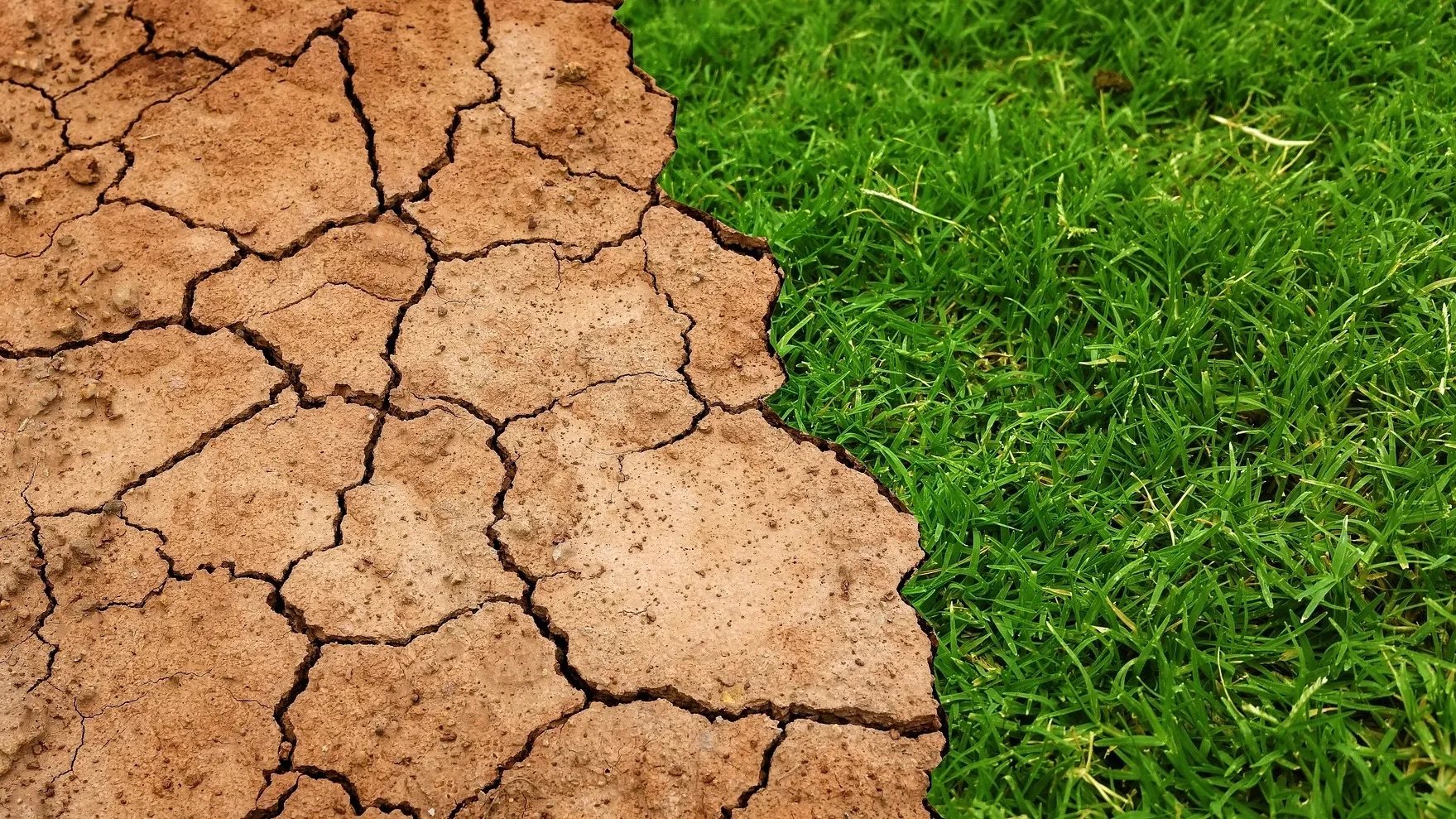 Scientists warn extreme weather events will intensify as Earth warms