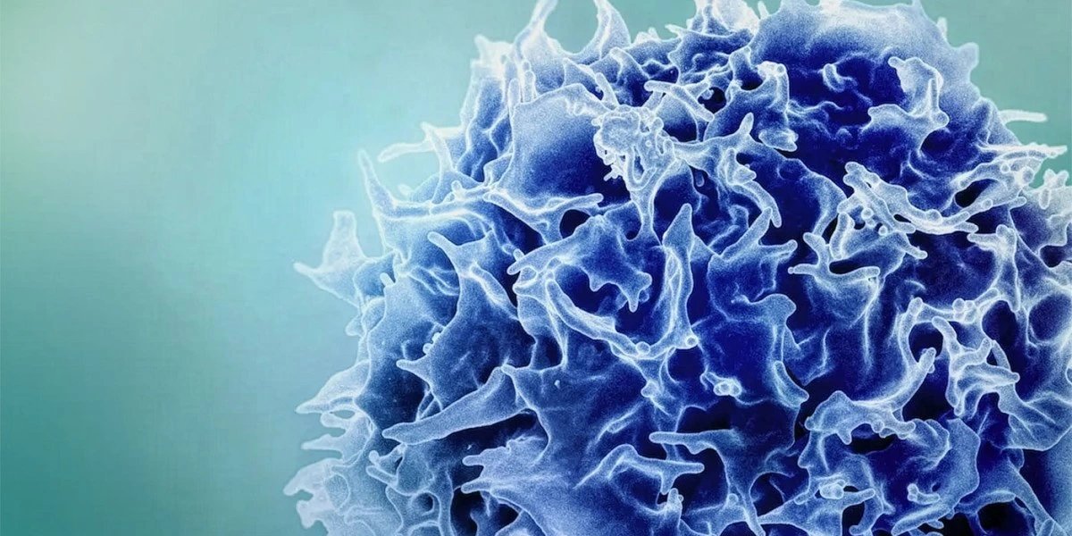 MIT researchers report mRNA adjuvant amplifies T-cell response against tumors