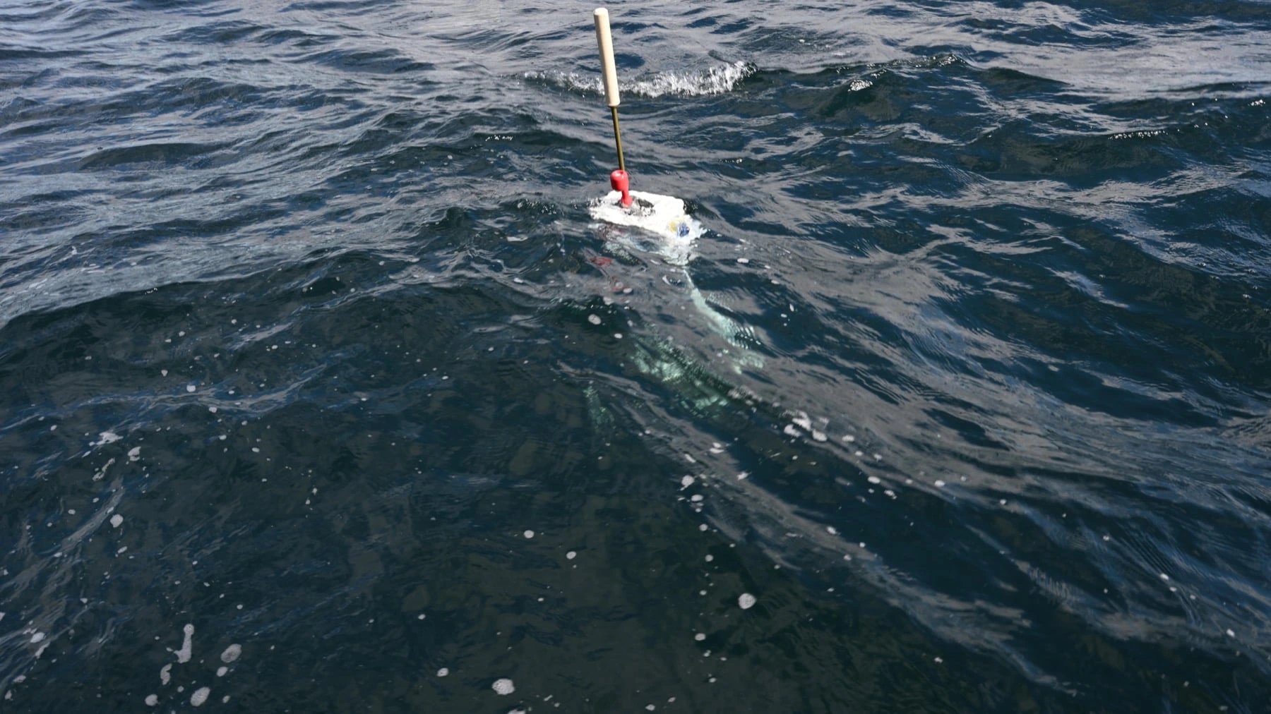 Ocean's upper 2,000 metres gained record 23 zettajoules of heat in 2025