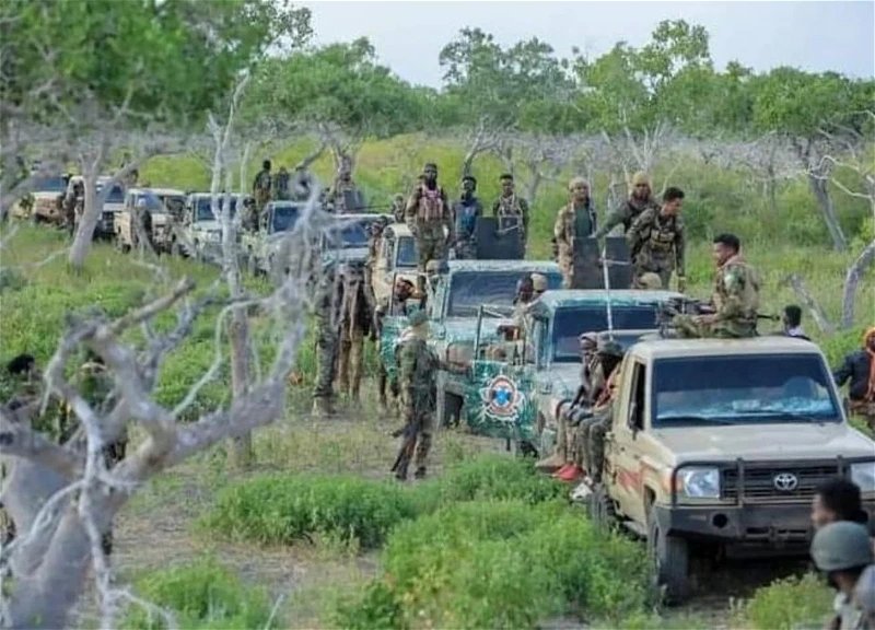 Somali forces kill al-Shabaab intelligence chief in Jilib airstrike