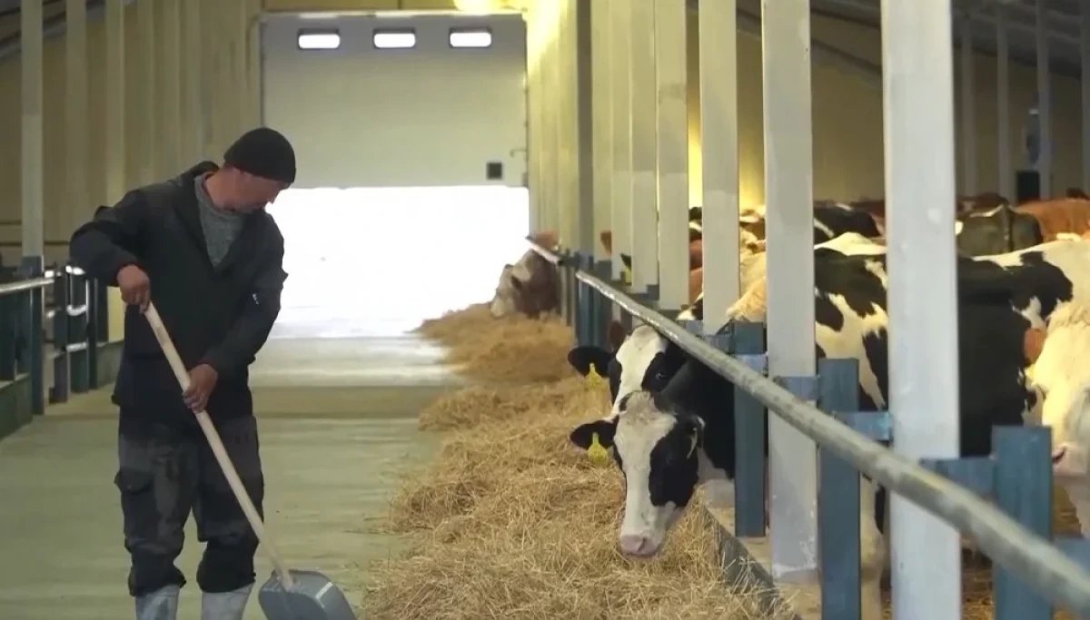 Қазақстан Aqtogai Milk компаниясын алты жұмысшының өліміне толық кінәлі деп таныды