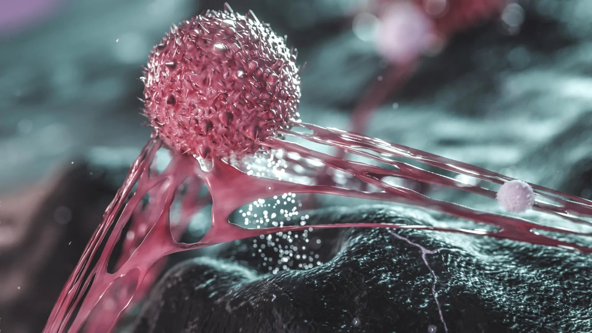 Scientists map dormant breast cancer cells shielded by immune tissue