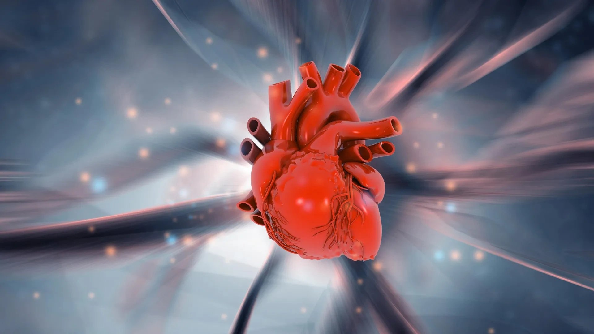 Human heart produces new muscle cells after heart attack, Sydney researchers find