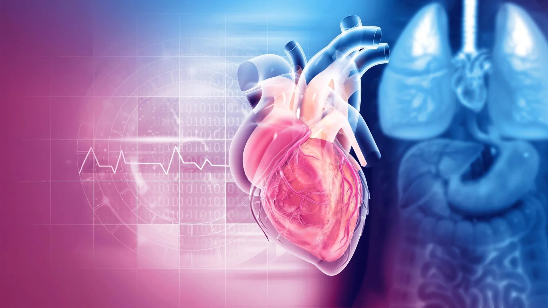 Northwestern study finds heart calcium scans benefit only borderline-risk patients