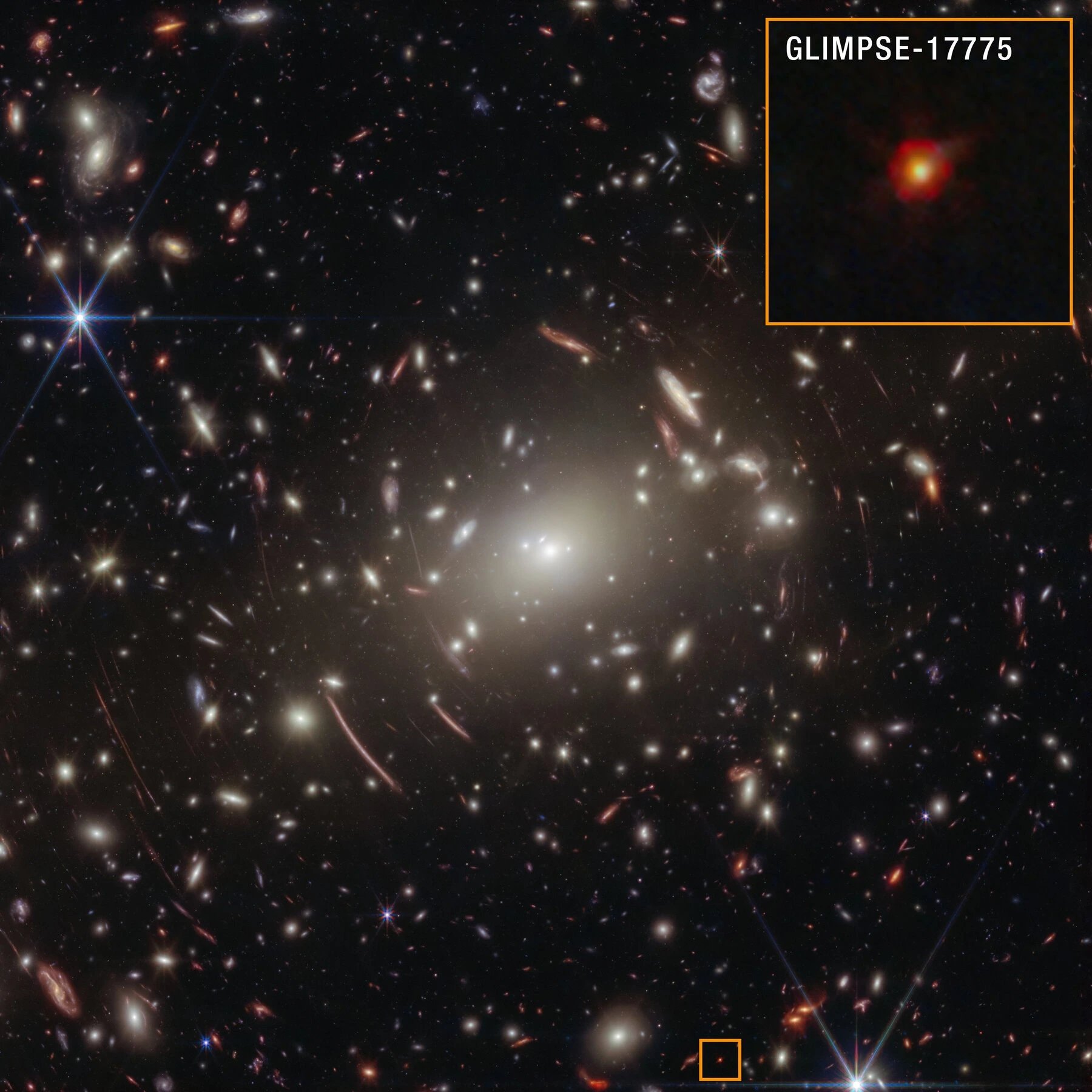 JWST little red dots may be rapidly growing black holes, simulations suggest