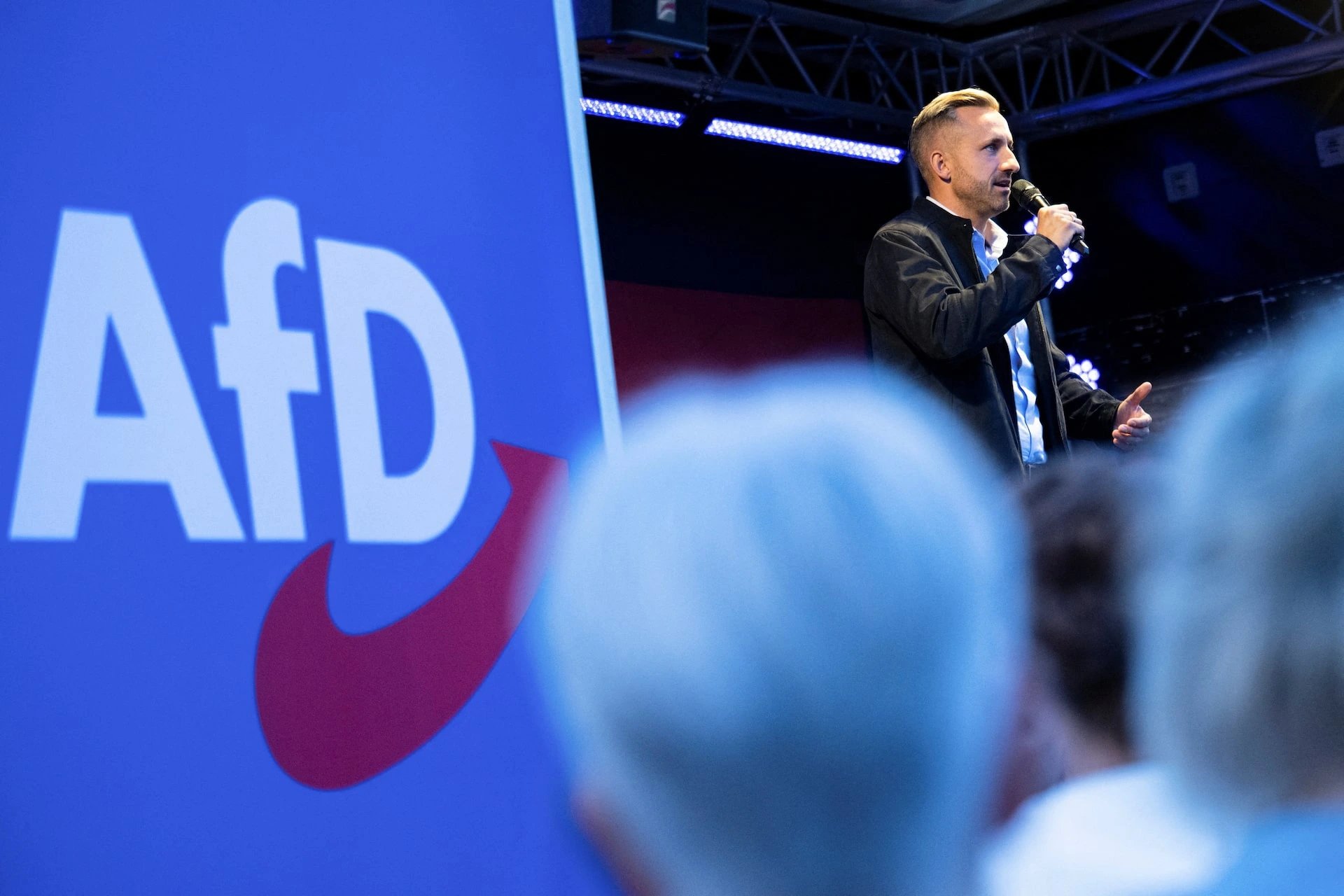Победа ультраправой AfD в Саксонии-Анхальт создаёт долгосрочные риски для энергоперехода Германии